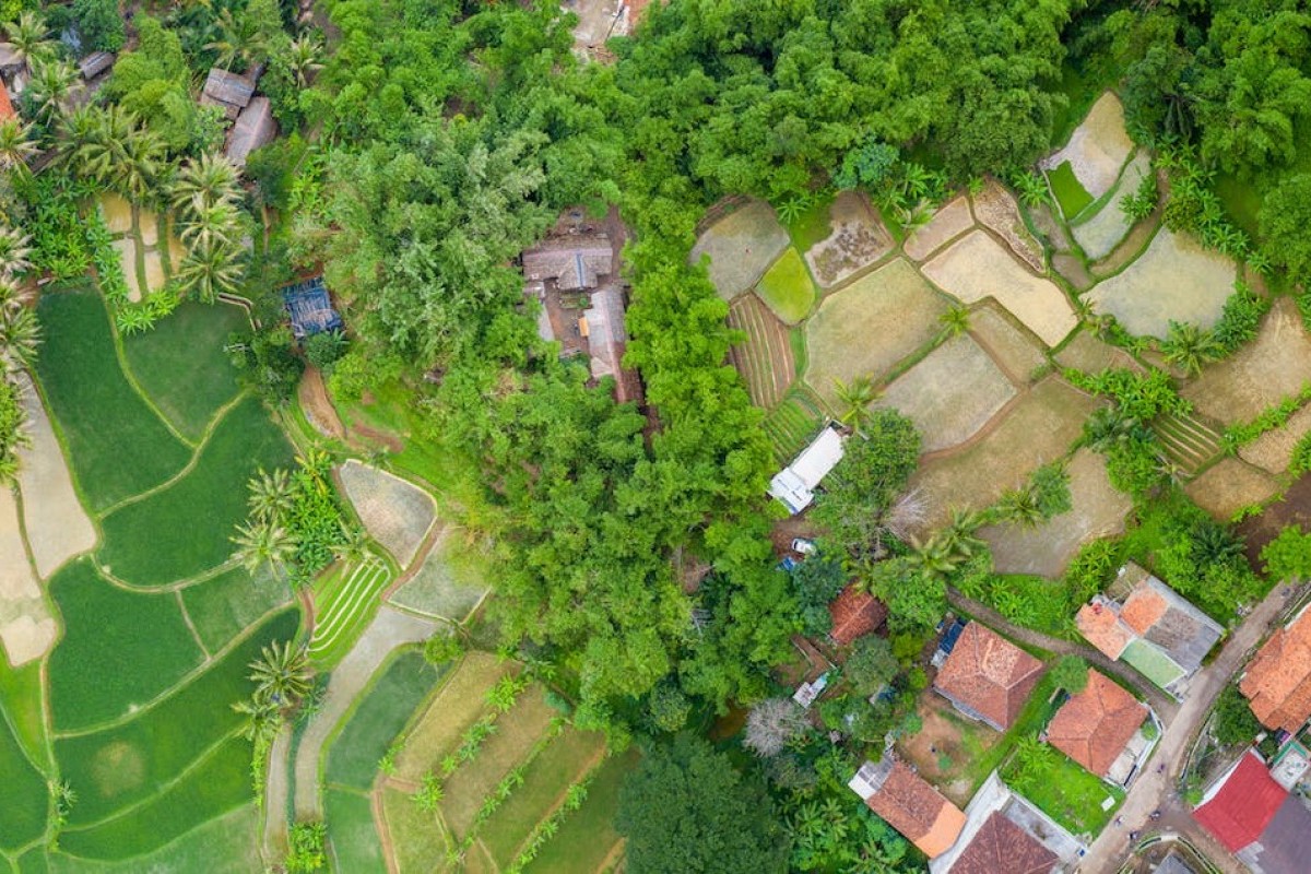 Menelusuri Keunikan Kecamatan Purwojati sebagai Wilayah Tersepi di Banyumas, Jawa Tengah, Juara 1 2 3 4 Daerah Mana Saja? Ada Somagede hingga Lumbir