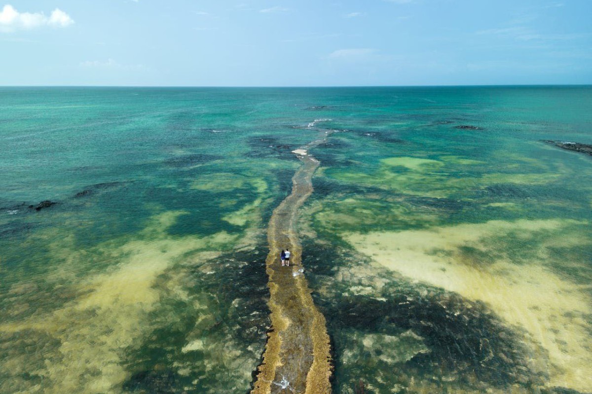 Dibalik Dana Rp250 Miliar: Palu Bangun Tembok Kehidupan 750 Meter di Laut, Jadi Tanggul Penghalang Tsunami yang Diprediksi Bakal Kuat! Cek Lokasinya