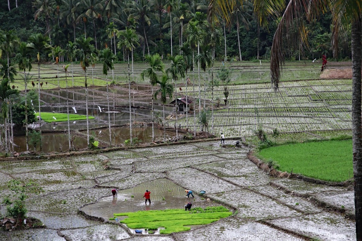 Kota Salak Kini Dikukuhkan jadi Ibu Kota Baru di Sumatera Utara? Ternyata Hasil dari Pemekaran Antara Sumut dan Padangsidimpuan