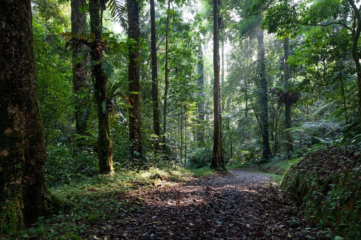 Menyelami Keindahan Desa Seribu Air Terjun di Lereng Gunung Bandung, Nikmati Surga Tanpa Perlu Melewati Kematian