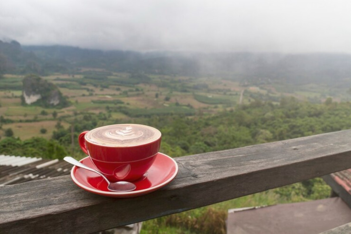 Temanggung Punya Tempat Unik yang Gak Boleh Sampai Lepas, Bisa Lihat 2 Gunung Bersamaan Lho: Ada View Gunung Sumbing Dan Sindoro