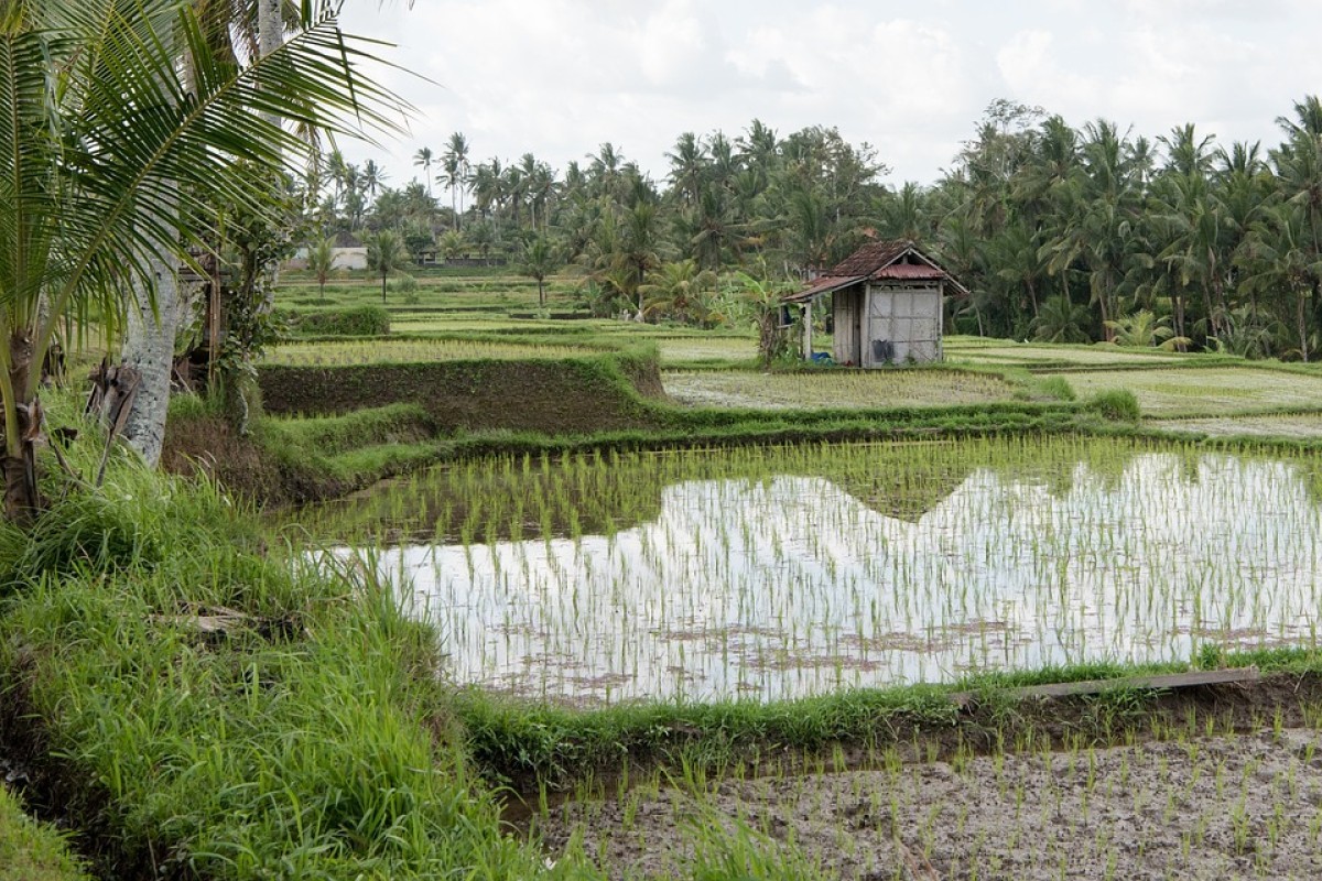 10 Kabupaten dan 2 Kota Ini Akan Segera Hengkang dari Riau Usai Isu Pemakzulan Wilayah Semakin Menguat, 213,5 Ribu Jiwa Penduduk Terombang-Ambing