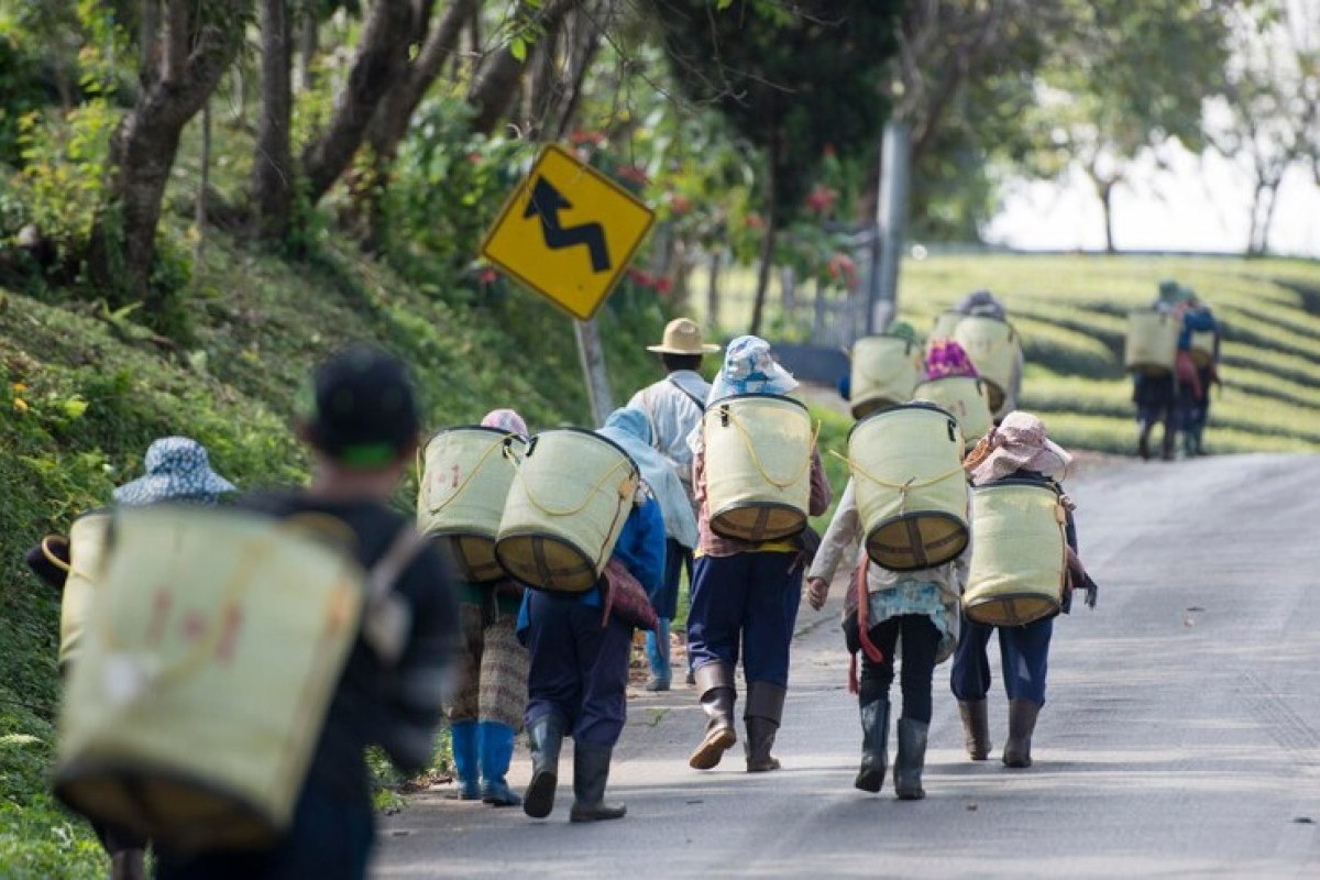 Daerah Ini Jadi Juaranya yang Teramai di Kabupaten Rembang, Capai Jumlah Penduduk Hingga 92,73 Ribu, Kragan Atau Sedan?