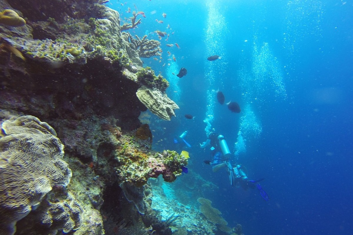 Hidden Gem? Wisata Ajaib Teluk Wondam Tersembunyi di Jantung Provinsi Papua Barat, Ternyata Ini Rahasia Kecantikan Luar Biasanya!