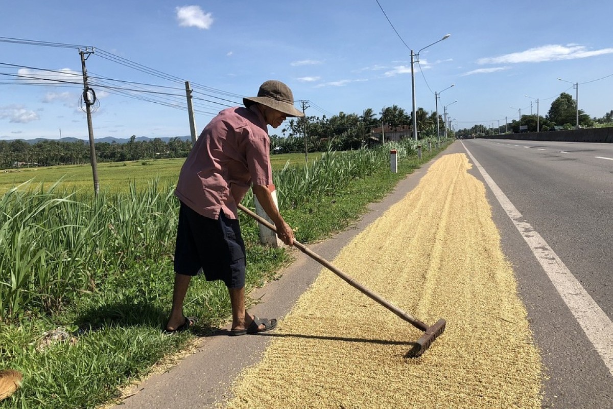 Menyelusuri Keberagaman Kabupaten Kepulauan Meranti yang Baru Terbentuk di Riau dengan 9 Kecamatan yang Bergabung Bentuk Wilayah Seluas 3.623,93 Km2