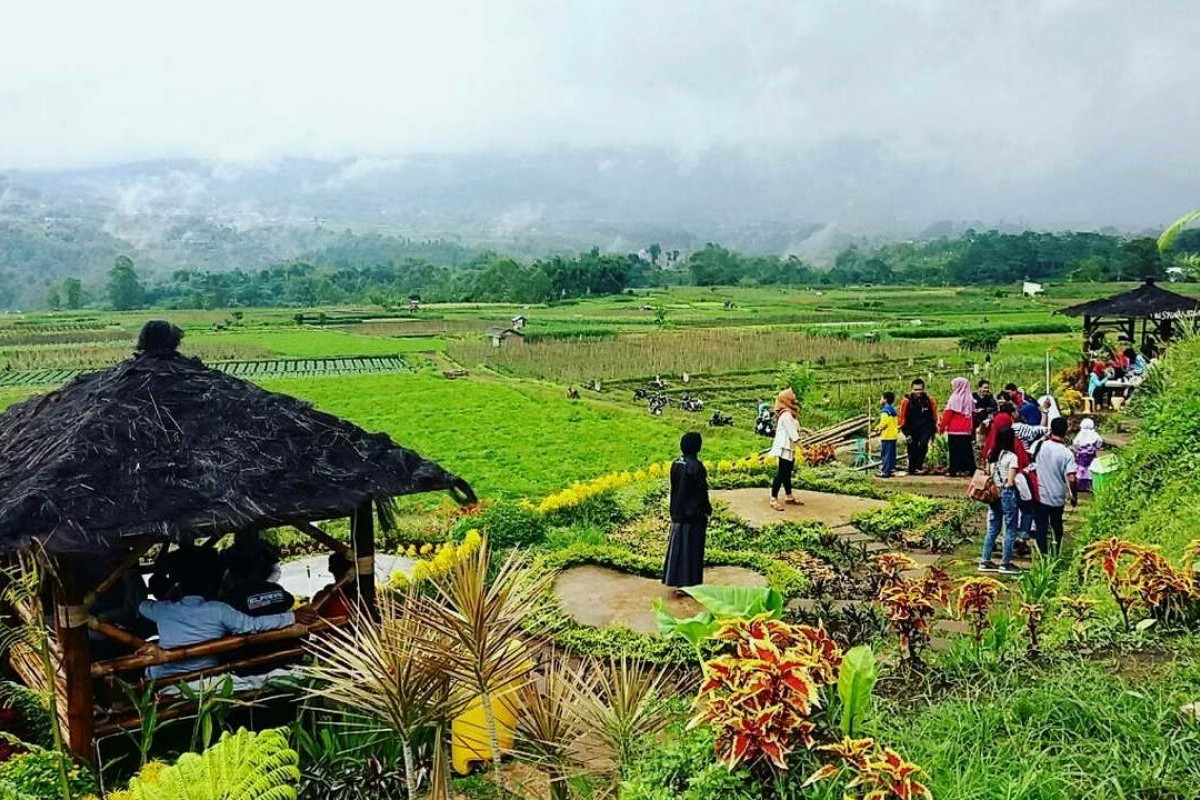 Landak Bukanlah Nama Hewan, Tetapi Apa? Nama Kabupaten Landak di Kalimantan Barat Ternyata Berasal dari Singkatan