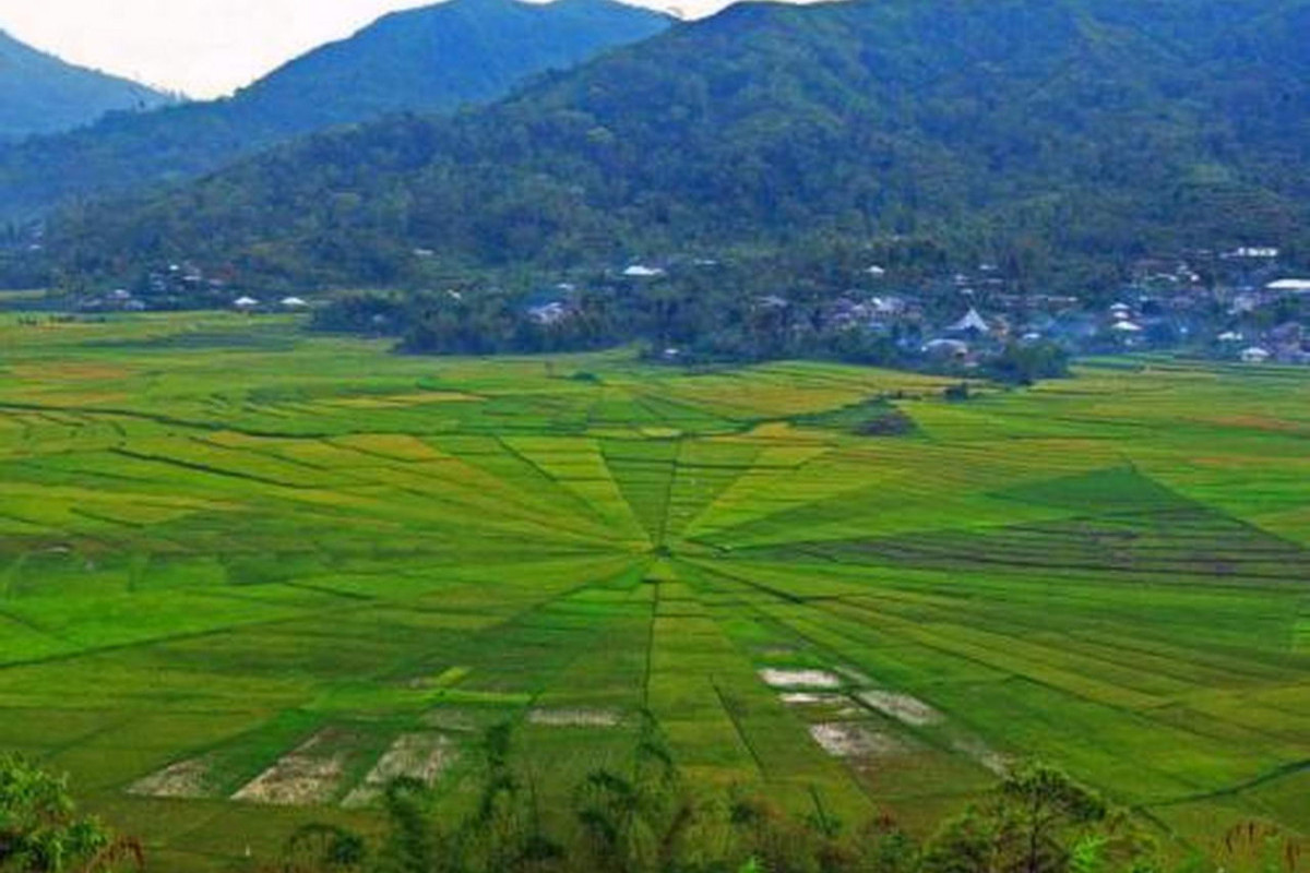 Flower Timur Pisah, Bentuk Provinsi Baru Hasil Pemekaran Nusa Tenggara Timur, Apa Ibukotanya?