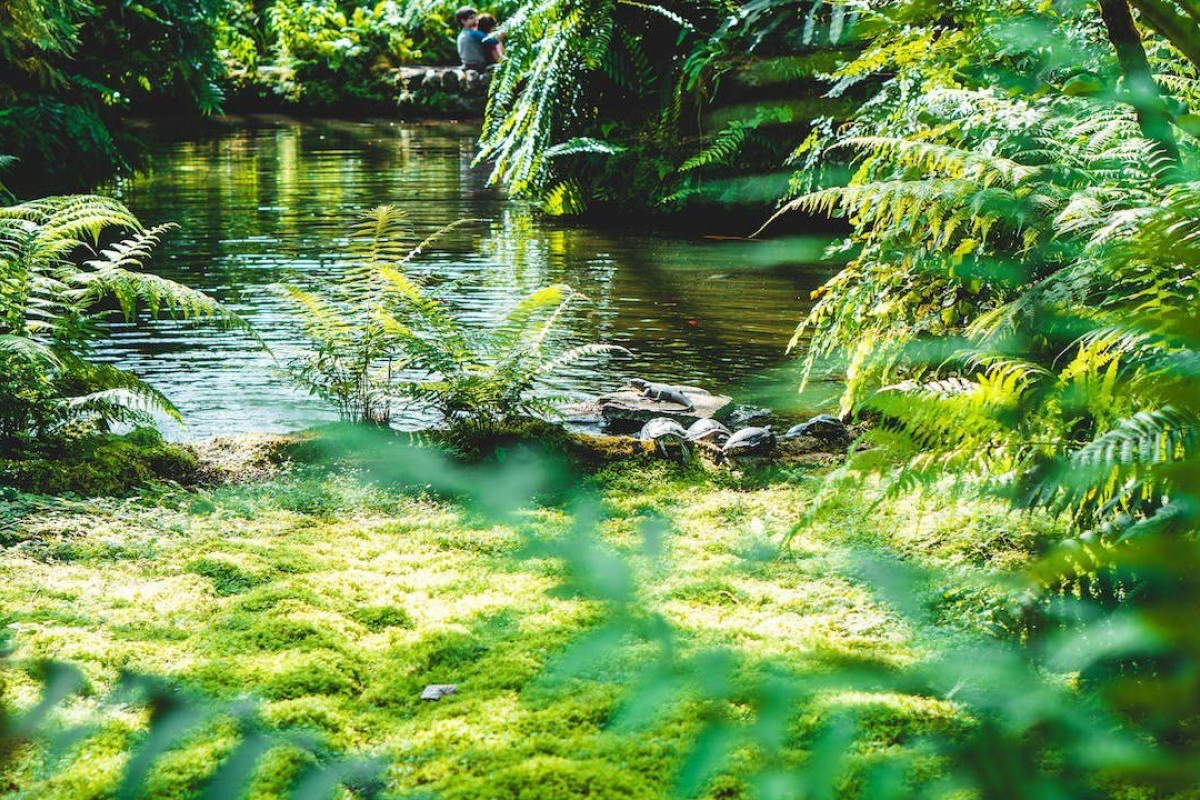 Emang Boleh Sepanjang Ini? Ini Loh Sungai Terpanjang di SUMUT yang Tenryata Bukan Asahan Tapi,