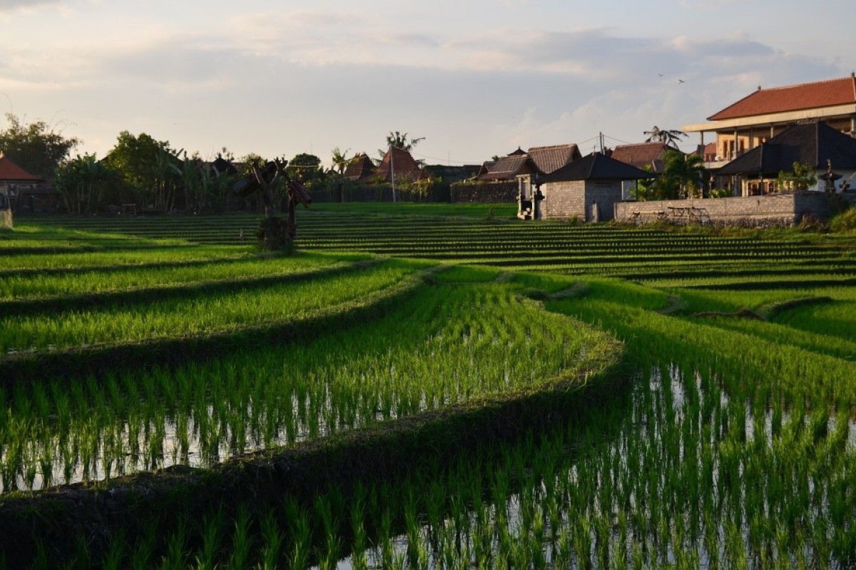 Apa Kepanjangan dari Kabupaten OKI? Jangan Salah Ternyata Punya 7 Desa dengan Nama yang Tidak Kalah Unik, Nomor 6 Dengernya Bikin Hati Adem