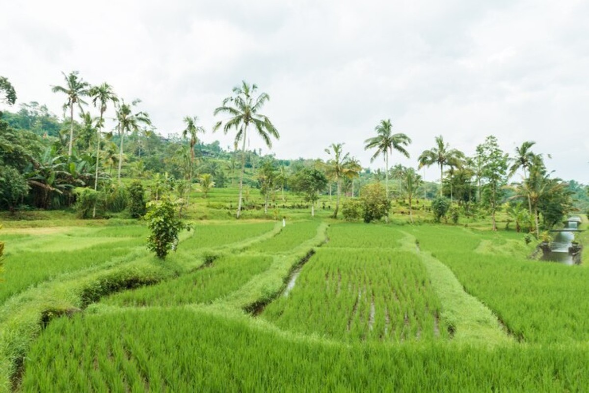 5 Kecamatan Tersepi di Kabupaten Grobogan: Jangan Kaget, Nomor 1 Bukan Brati atau Tegowanu, Justru...