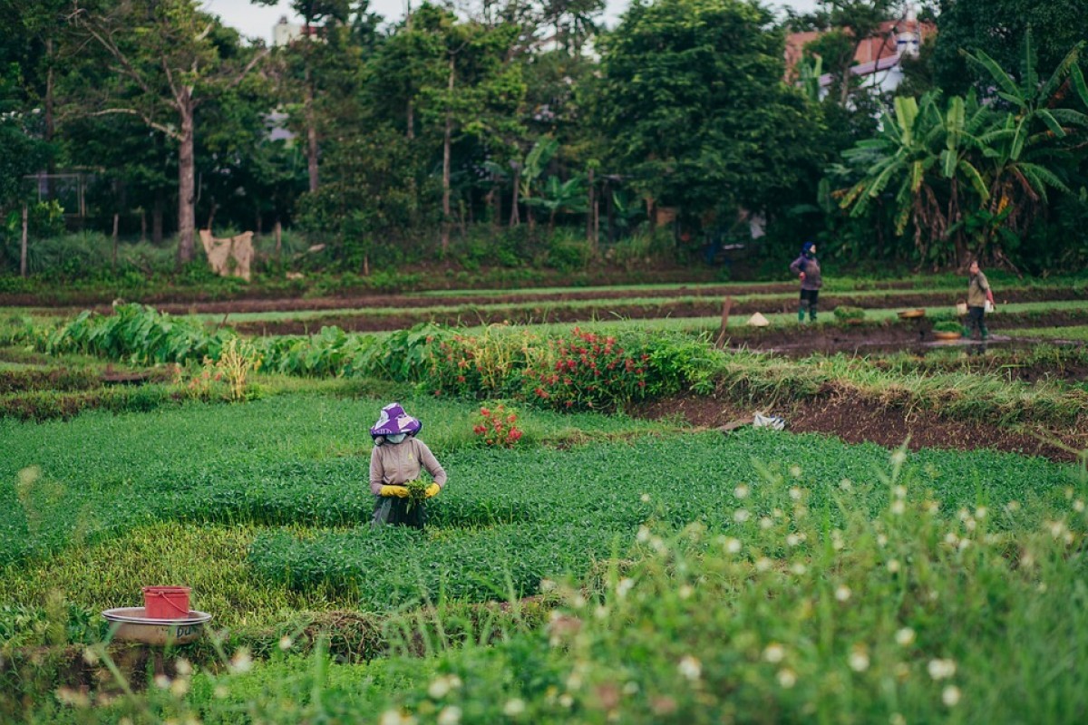 Menjelajahi Keindahan Kampung Cijati di Kaki Gunung Geulis, Sumedang yang Terkenal dengan Tahu-nya yang Nikmat dan Lezat