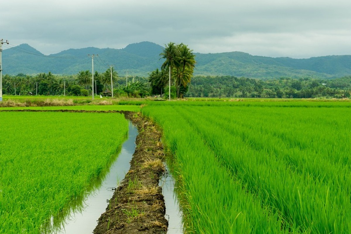 Sibolga, Kota Mungil yang Kini Jadi Bagian Baru Sumatera Utara dengan Luas Enam Kali Lipat lebih Besar Daripada Ibukota?