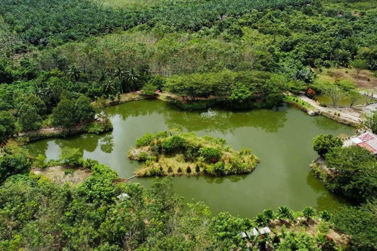 Bikin Iri, 3 Wilayah Paling Makmur di Kalimantan Timur yang Mengejutkan Penduduk Lain dengan Kekayaan Melimpah yang Tidak Terduga