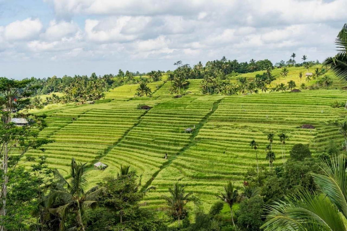 Menyingkap Destinasi Wisata di Bali yang Ramai Dikunjungi Turis Asing, Nomor 1nya Tak Terduga!