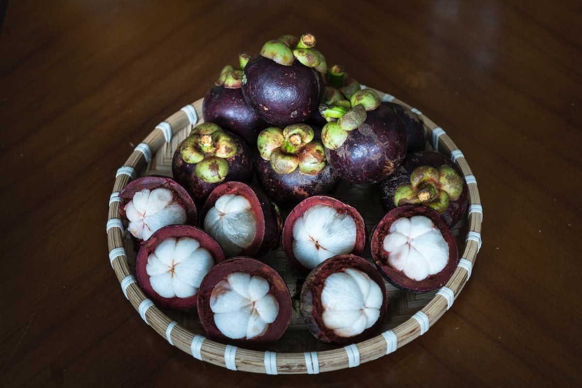 Bukan Kalipuro tapi Mana Lagi? Kecamatan Penghasil Manggis Terbesar di Banyuwangi Ini Menghasilkan Buah yang Lezat dan Beda dari yang Lain!