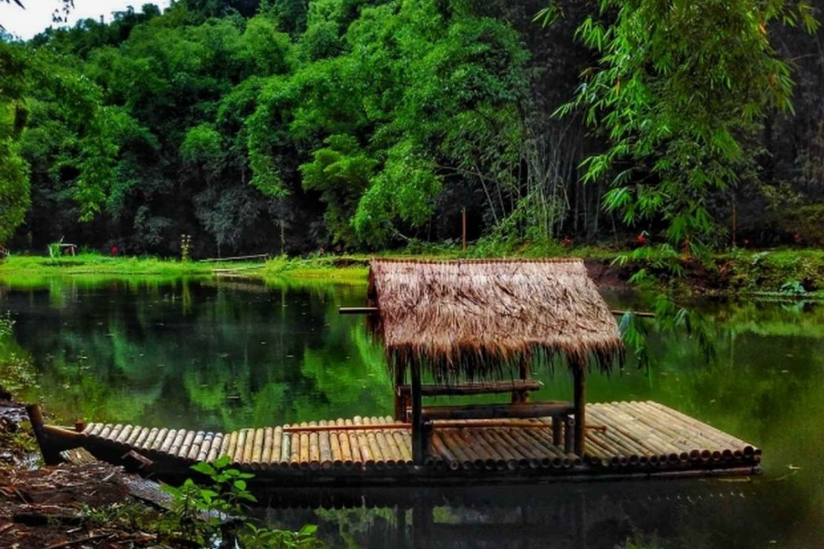 Memasuki Dunia Hutan Raksasa: 5 Kabupaten dengan Hutan Terbesar dan Terluas di Jawa Timur, Apakah Banyuwangi Termasuk?