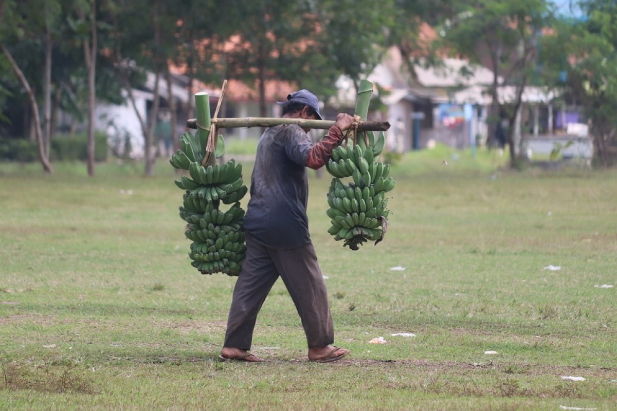 Jejak Pemekaran dan Pesona Kabupaten Pulau Taliabu yang Kini jadi Wilayah Baru di Maluku Utara dengan Luas 1.469,93 Km² Demi Optimalkan Potensi Daerah Otonom