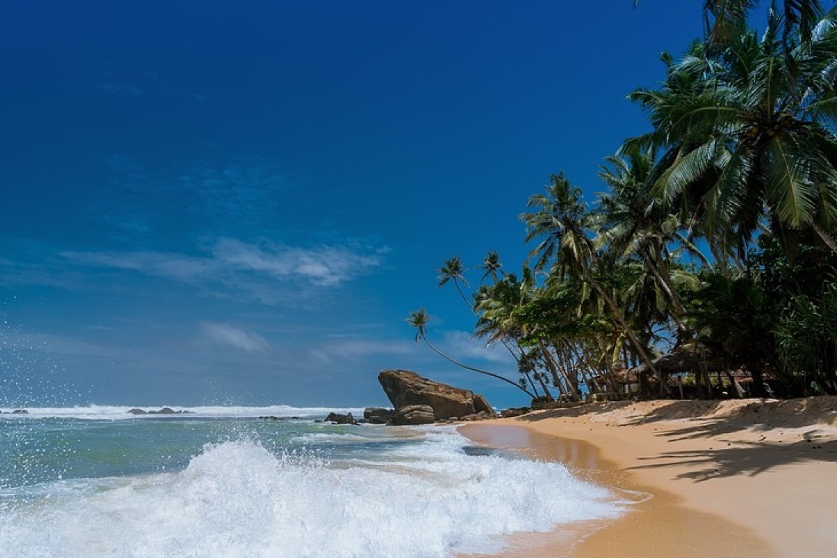 Bukan Kenjeran! Inilah Desa Wisata Indah di Jatim yang Terkenal Sebagai Surga Bagi Para Pemain Surfing Luar Negeri, Masuk Daftar ADWI 2023?