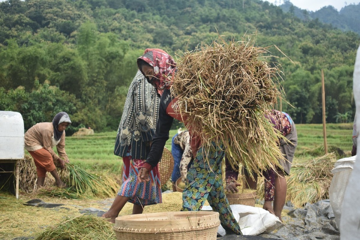 Desa-Desa Unik di Kabupaten Ogan Komering Ilir, Sumatera Selatan yang Menyimpan Keunikan Nama, Jangan Kaget Ada Desal Adil dan Makmur Loh