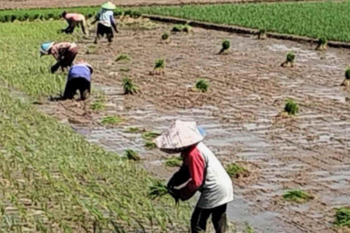 3 Pekerjaan yang Paling Digemari oleh Warga Jawa Timur dengan Gaji Selangit, Bukan sebagai Buruh Pabrik, Sales, atau Admin Marketing