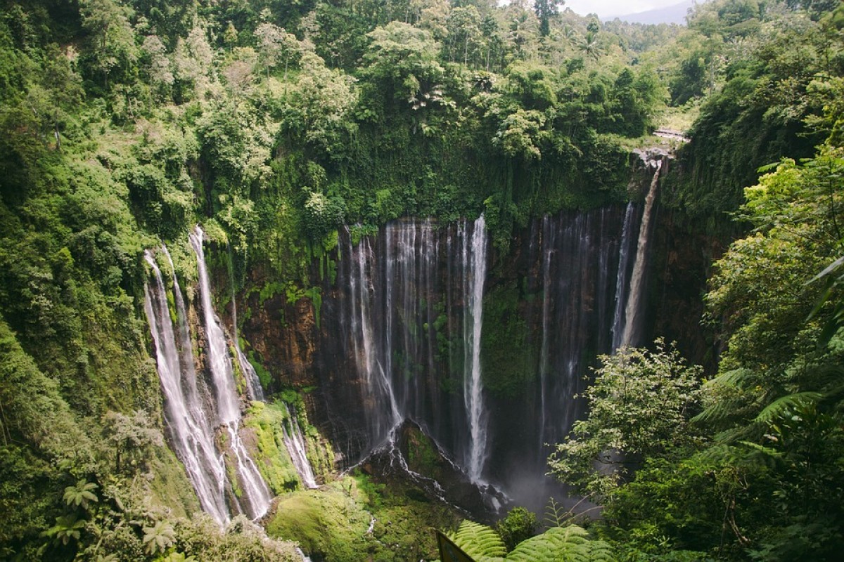 Acrophobia Dilarang Kesini! Inilah 5 Daerah Tertinggi di Kabupaten Kebumen Juaranya Punya Tinggi 198 MDPL, Sayang Banget Bukan Sadang atau Karangsambung Melainkan