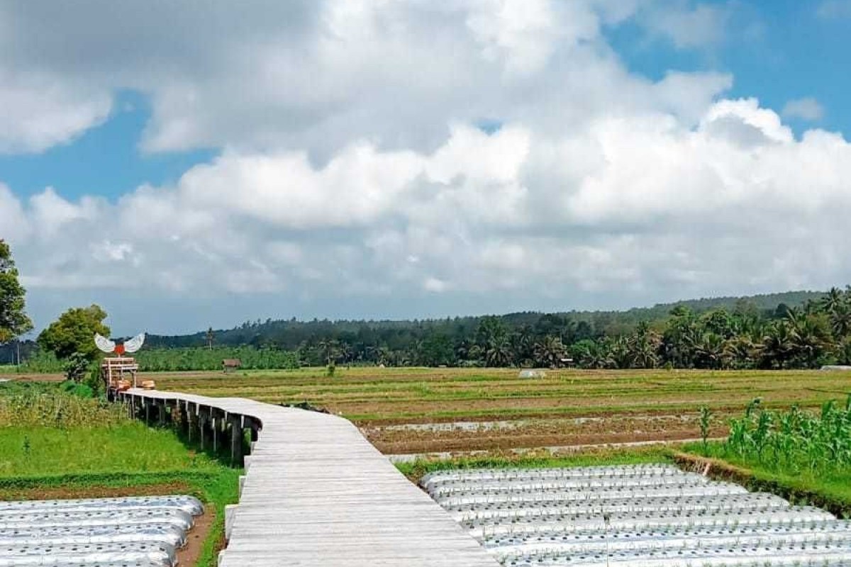 Warga Jatim Banyak yang Belum Tahu Karena Termasuk Hidden Gem, 5 Tempat Wisata Terbaik di Songgon Banyuwangi. 