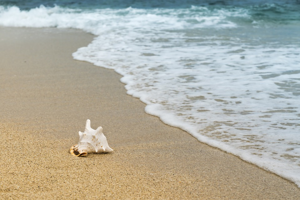 Kunjungi Segera! 5 Pantai di Pacitan Suguhkan Pesona Alam Menakjubkan untuk Memuaskan Jiwa Petualang Anda, Buka Setiap Hari?