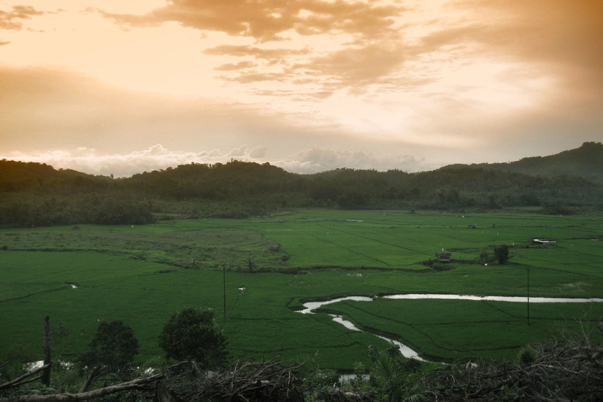 Tana Tidung Kepanjangan dari Apa? Yuk Mengungkap Nama-Nama Unik di Kalimantan Utara: Afdeeling Tidoengschelandern Dalam Banget Maknanya