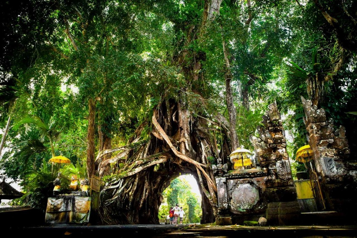 Wisata Alam di Bali Barat! Temukan Keindahan Alam yang Tersembunyi, Mulai dari Air Terjun Juwuk Manis hingga Pesona Sungai Gelar