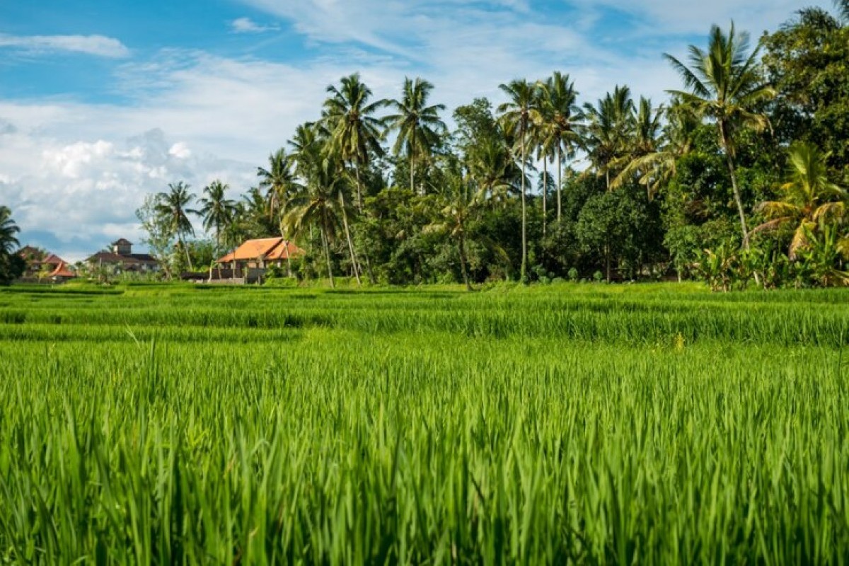 Desa Jeruk Seger Termasuk? Intip Nama Daerah Terunik di Mojokerto Jawa Timur, Ayo Tebak Siapa Paling Nyeleneh Nih?