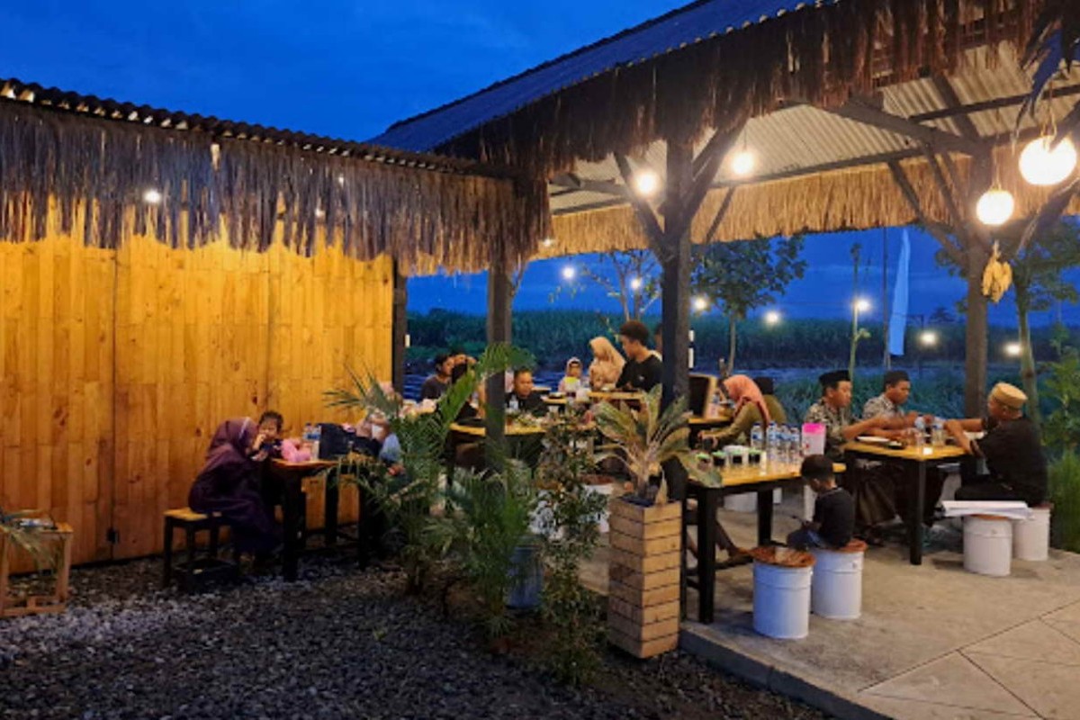 Menikmati Keindahan Alam dan Kuliner di Cafe Sawah Apik Jombang, Ngopi dengan Angin Segar yang Menyegarkan Hati dan Pikiran