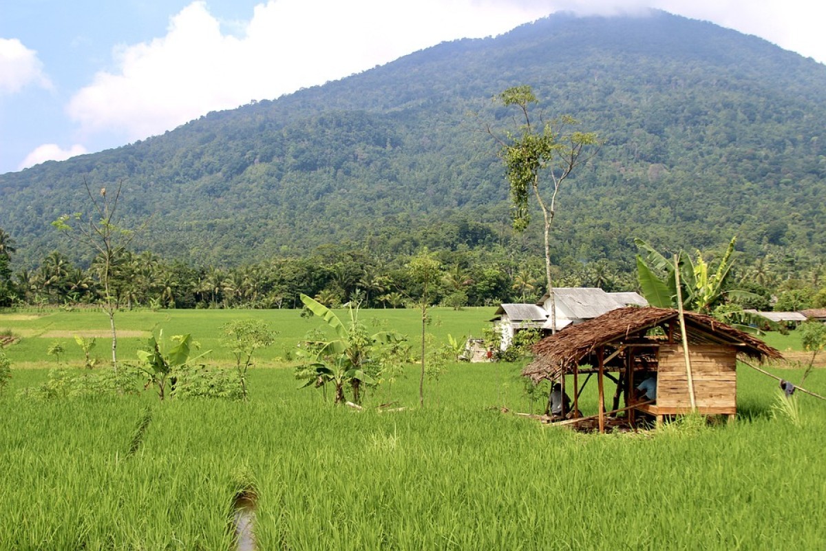 Serpong Utara Ajak Ciputat dan Pemulang Kabur dari Banten Usai Muncul Isu Pemekaran Wilayah Seluas 147,19 km2 Diresmikan Sudah Sejak Bulan November 