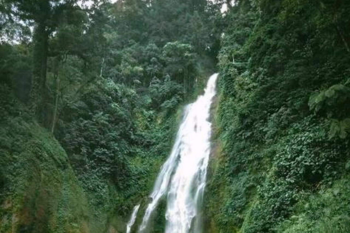 Luasnya Capai 20.089,92 Km2, Ini Wilayah Baru Pemekaran Provinsi di Sumatera, Cek Ibukota dan Info Penting Lainnya