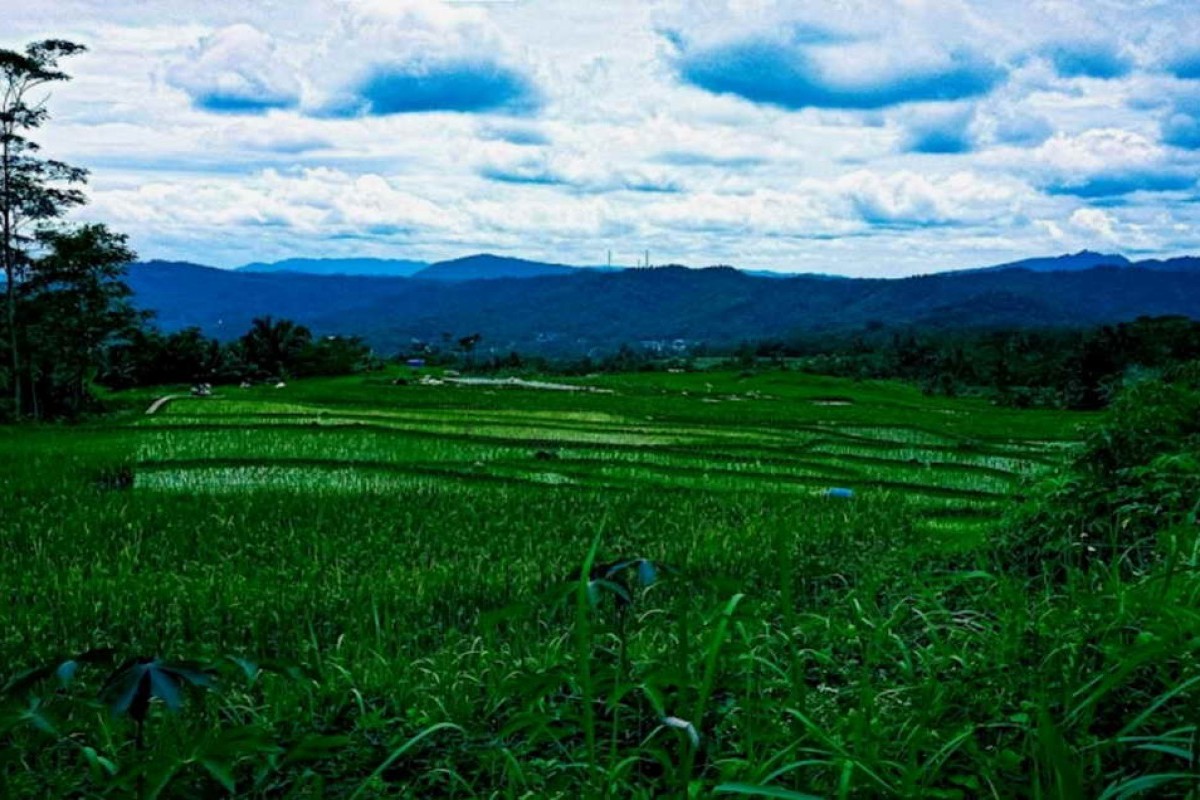 Kampung Ajaib di Jawa Tengah yang Abadi Hijau, Hanya 23 KM dari Banyumas!