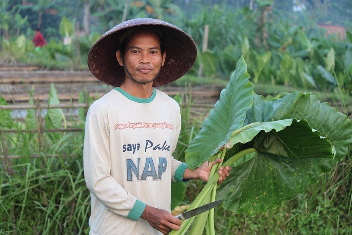 4 Kabupaten di Jawa Barat Bikin Provinsi! Majalengka Siap Digoyang Bareng Kuningan, Akankah Jabar Bubar Usai Ditinggalkan?