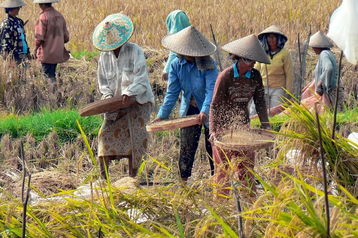 Abiansemal Ajak Kuta Buat Pindah dari Badung Usai Tak Jadi Juara Wilayah Teramai di Bali, Padahal Bukan Pusat Sektor Wisata Maupun Ekonomi