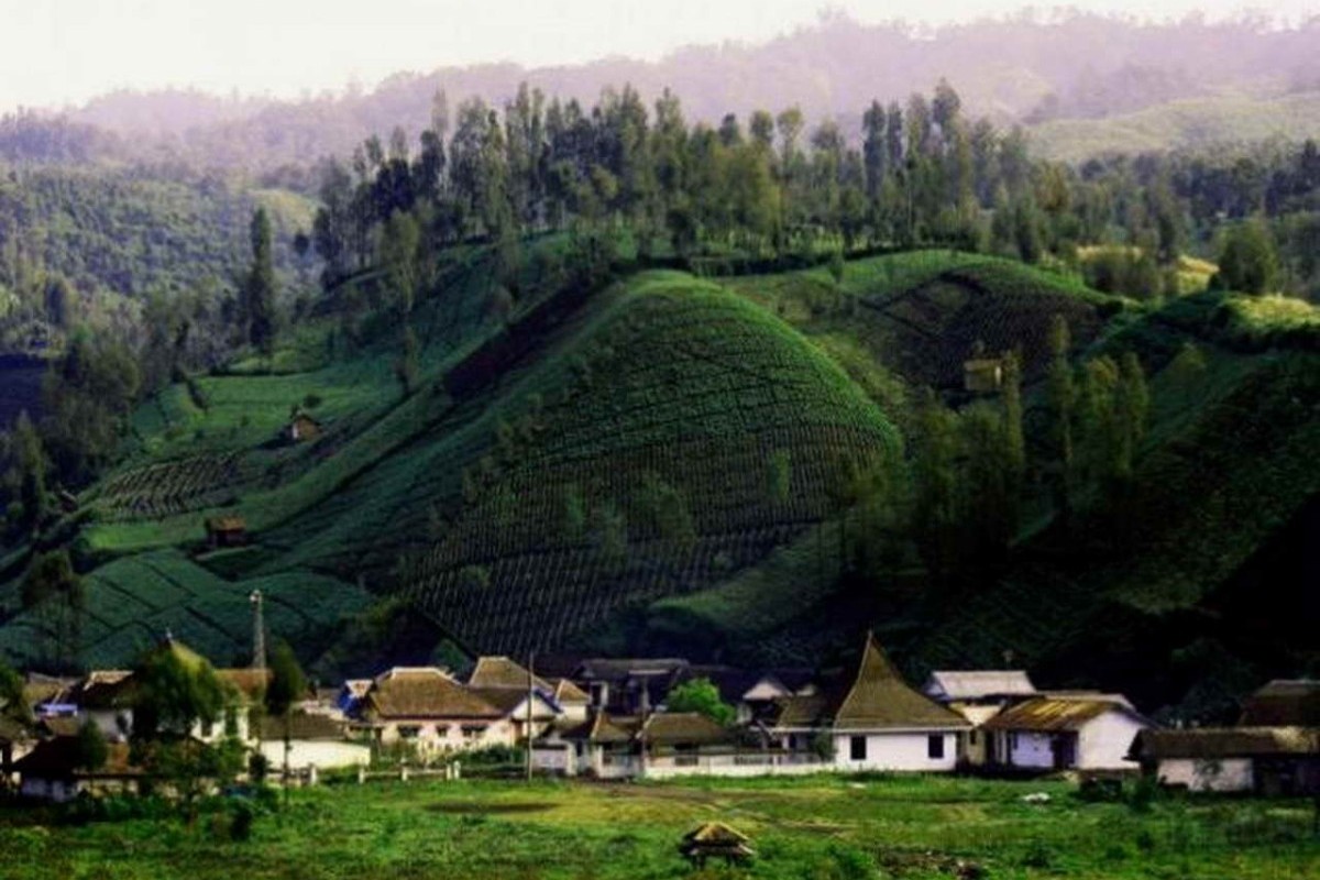 Desa di Jawa Timur Ini Dinobatkan sebagai Desa Terindah di Indonesia yang Diakui oleh UNESCO, Temukan Juga 5 Desa dengan Pesona Alam yang Memukau Lainnya