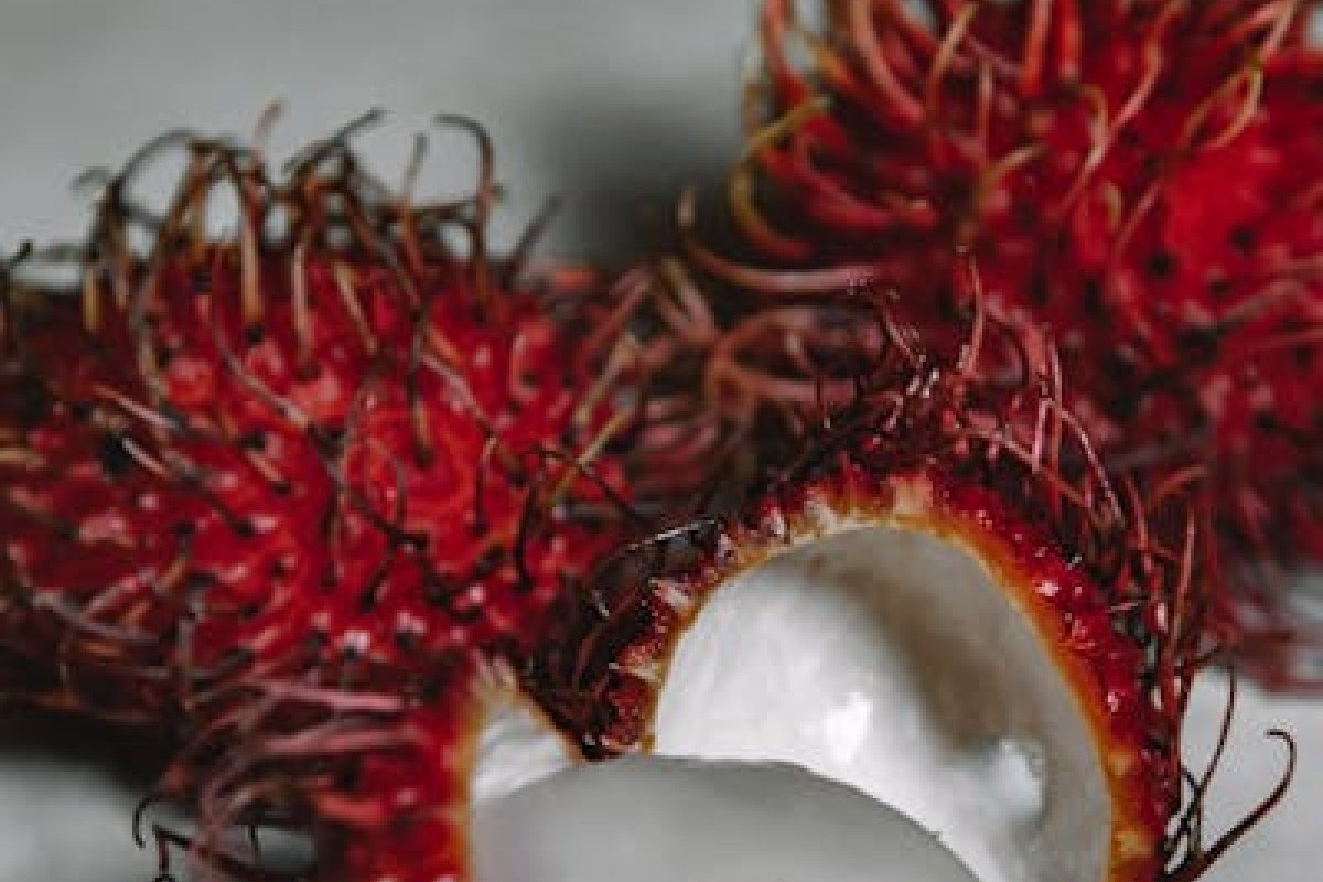 Pecinta Rambutan Merapat! 4 Kecamatan Ini Menghasilkan Buah Berambut dalam Jumlah yang Banyak, Siapa Juaranya?