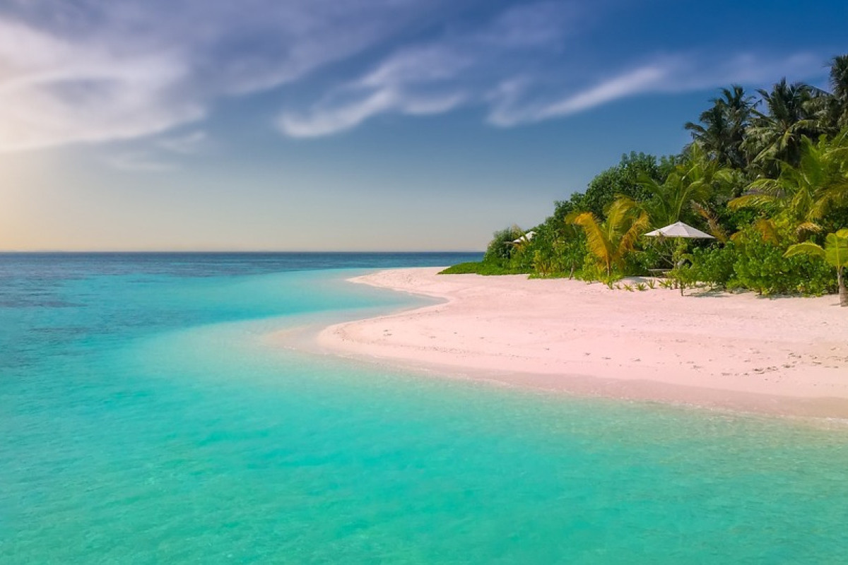 Saingan Baru Pulau Komodo Nih, NTT Punya Pulau Terpencil yang Sangat Sepi dan Hanya Seluas 5 Ha, Ada Harta Karun Pohon Bakau dan Hewan Vampir