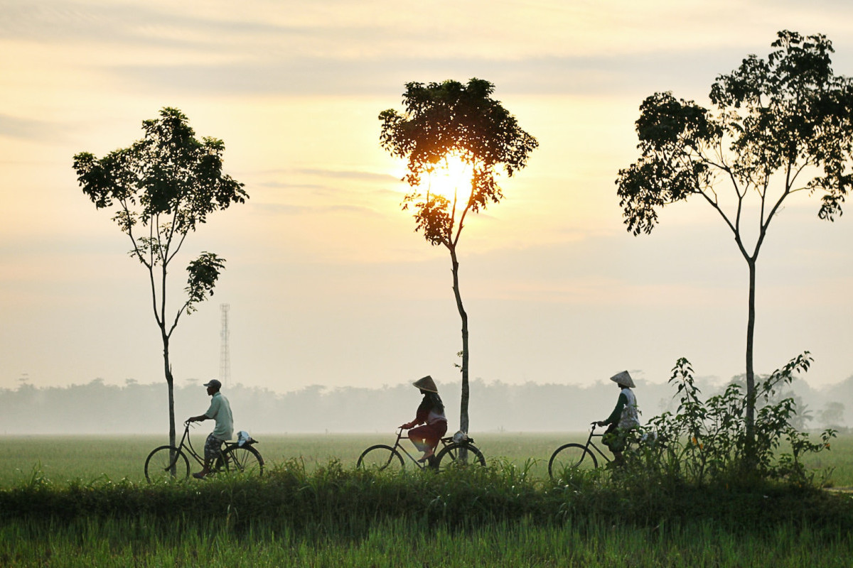 Berjarak 20,8 Km dari Surabaya! Kampung Miliarder di Gresik Jawa Timur Ini Pernah Miskin, Kini Warganya Digaji Rp 7 Juta per Bulan, Ibu Kota Kalah? 