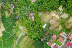 Menelusuri Keunikan Kecamatan Purwojati sebagai Wilayah Tersepi di Banyumas, Jawa Tengah, Juara 1 2 3 4 Daerah Mana Saja? Ada Somagede hingga Lumbir