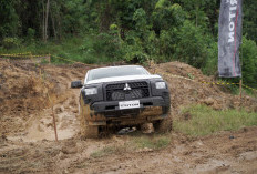 Setelah Jelajahi Medan Sumatera, Giliran Kalimantan MMKSI Ajak Konsumen Jajal Keandalan Mitsubishi All-New Triton