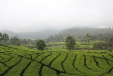 Sejarah Bandung Kembali Terkuak! Ternyata Berasal dari Kabupaten Ciamis yang Dulunya Pecah Akibat Pemekaran dengan Wilayah