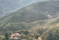 Bukan Pleret Apalagi Bambanglipuro yang Punya Luas Wilayah Hingga 18,32 km², Simak 4 Kecamatan dengan Area Tersempit di Kabupaten Bantul