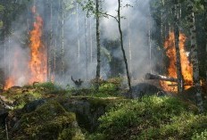 Dukungan Warga, Kontroversi Gubernur, dan Kesejahteraan Ekonomi Inilah Kisah Dibalik Suksesnya Tambang Emas Sulawesi Utara dengan Cadangan Emas 3,9 Juta Ton