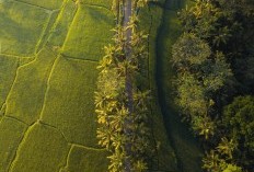 Dimana Letak Daerah Paling Luas di Kepulauan Riau? Benarkah Punya Jarak 60 Km dari Kota Tanjungpinang? Luasnya Mencapai