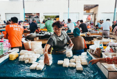 Mata Uang Dollar Naik, Bahan Pangan di Indonesia Meroket? Gakoptindo Cemaskan Harga Tempe Tahu