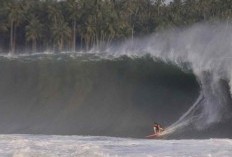 Surga Surfing dan Keindahan Alam Jawa Timur Yuk Menilik Desa Wisata Bowele Yang Menyimpan Segudang Keajaiban Pekerjaan Warganya