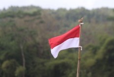 Punya Pesona Indah dan Strategis! Yuk Simak Fakta Mencengangkan Tentang Banyumas Wilayah Terkaya di Jawa Tengah, Kalahkan Ibukota Semarang?