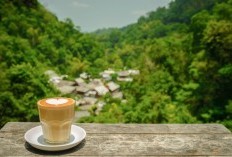 Sambil Healing dan Minum Kopi, 5 Cafe Keren yang Serasa Menyatu Dengan Alam di Pemalang, Sayang Kalau Dilewatkan